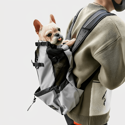 Sac à Dos Chien Moto | Nest™